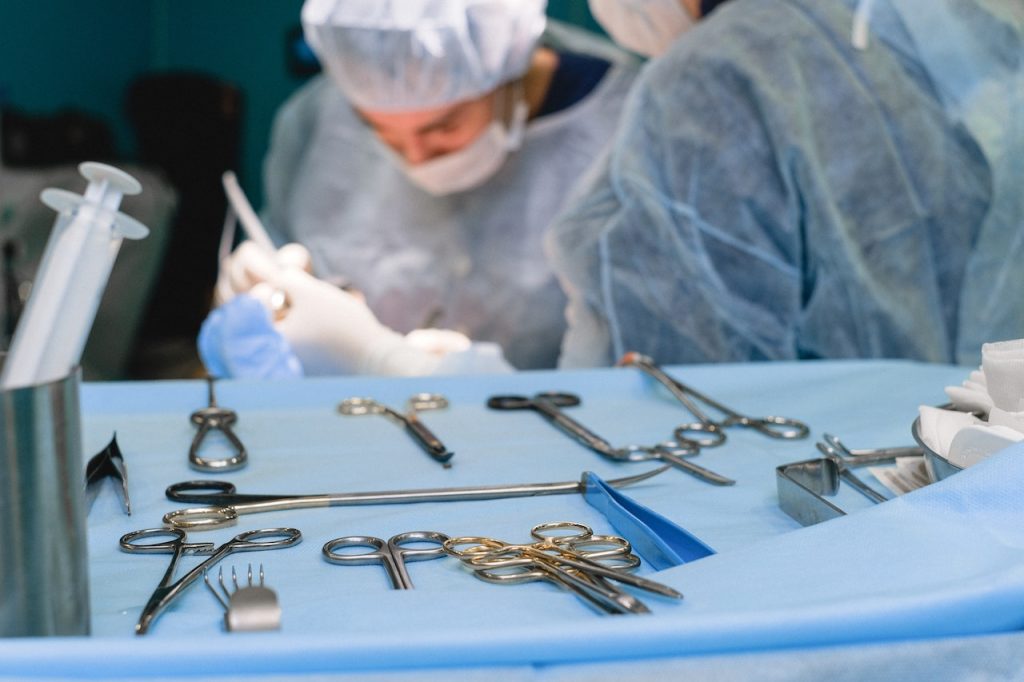 Chirurgia weterynaryjna toruń